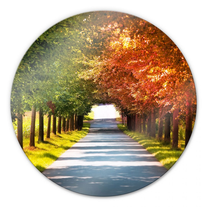 Glasbild Herbst - rund