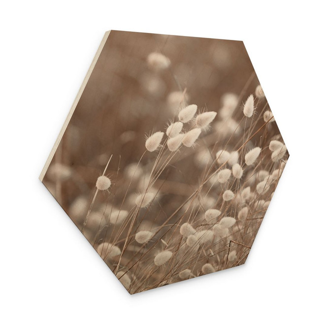 Hexagon Holzbild Zarte Gräser im Herbstlicht - Collins