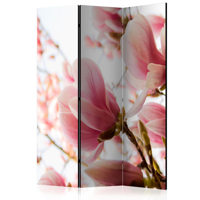 Paravent, Raumteiler freistehend, Trennwand - Rosa Magnolie