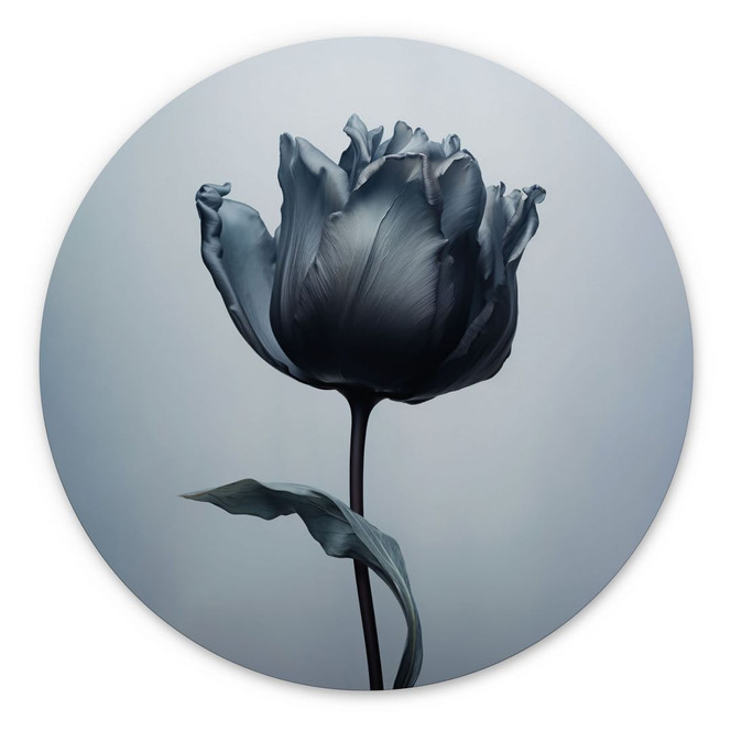 Wandbild Samtige Tulpe in Schwarz - Paksoylu - Alu-Dibond Rund