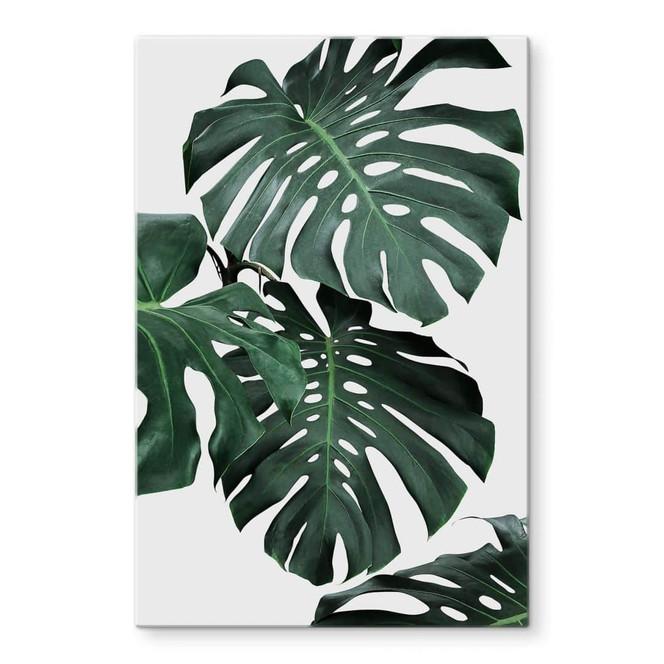 Glasbild Sisi & Seb - Monstera