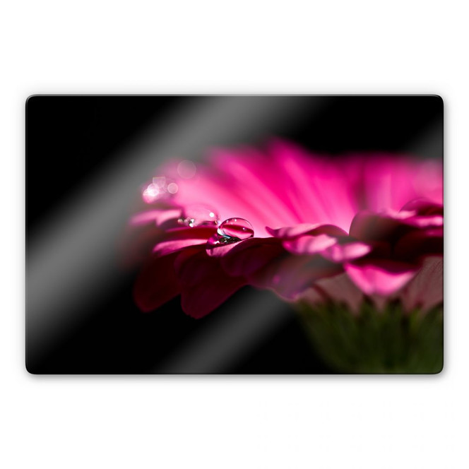 Glasbild Waterdrop of Life