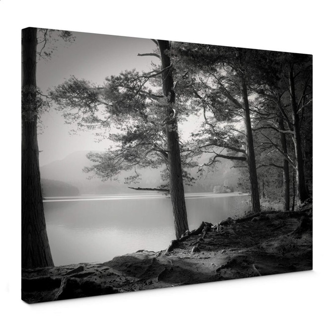 Leinwandbild Fuhg - Seeblick