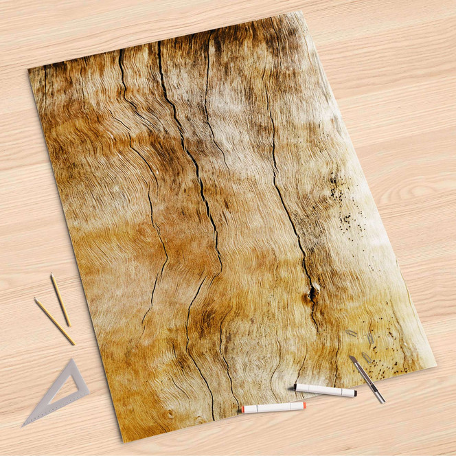 Folienbogen (80x120cm) - Unterholz- Bild 1