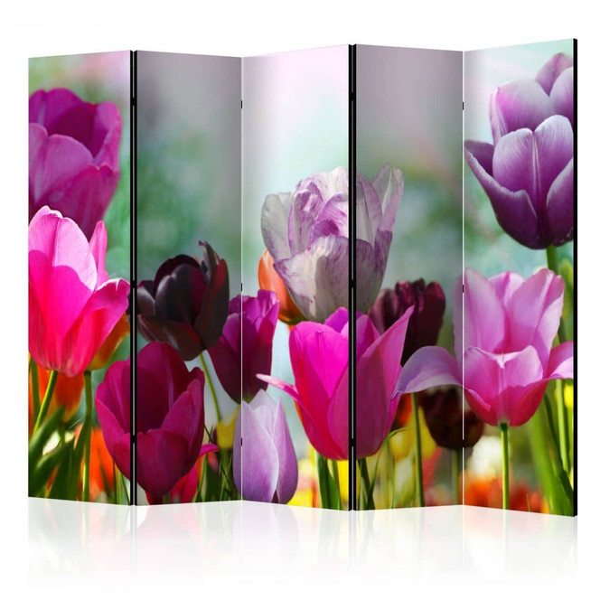 Paravent, Raumteiler freistehend, Trennwand - Wunderbare Tulpen, 5-teilig - 225 x 172 cm