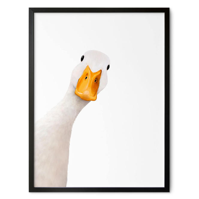 Poster Neugierige Gans - Korenkova