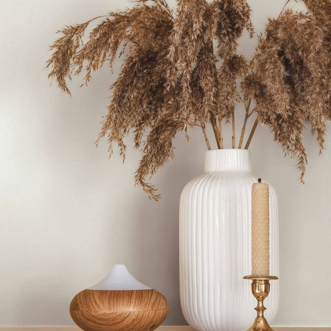 Vliestapete Strukturiert Uni Modern matt in Beige