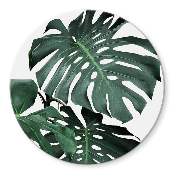 Glasbild Sisi & Seb - Monstera - Rund