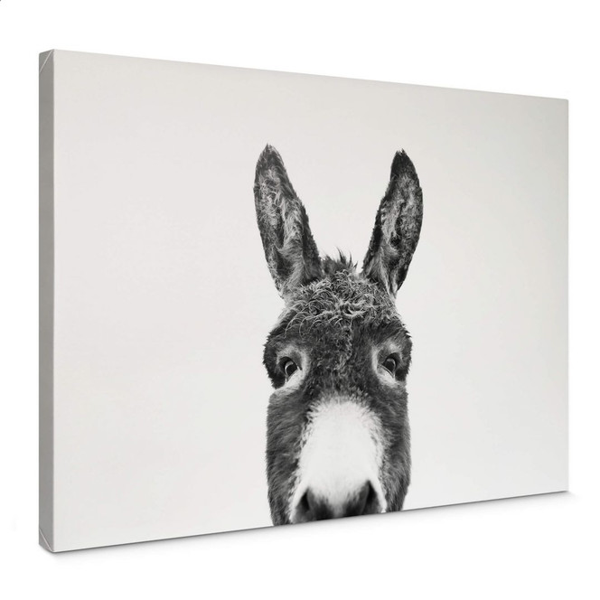 Leinwandbild Sisi & Seb - Der Esel