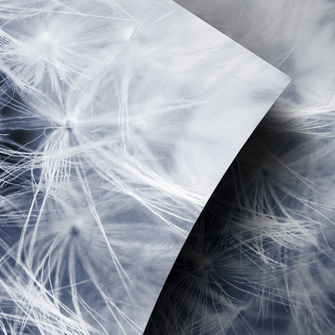 Möbelfolie, Dekofolie - abwischbar - Pusteblume 02