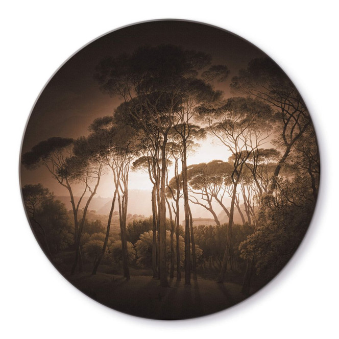 Glasbild Schirmkiefern mit Vignettierung Sepia - Rund