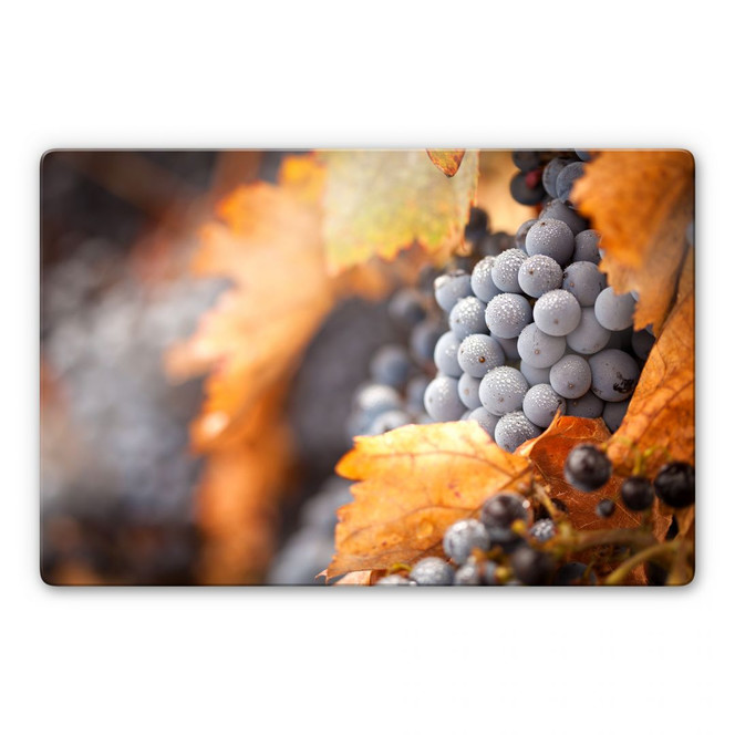 Glasbild Wein im Herbst