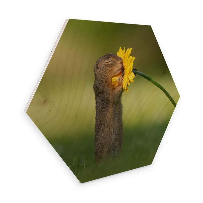 Hexagon - Holz Birke-Furnier van Duijn - Erdhörnchen riecht an Blume