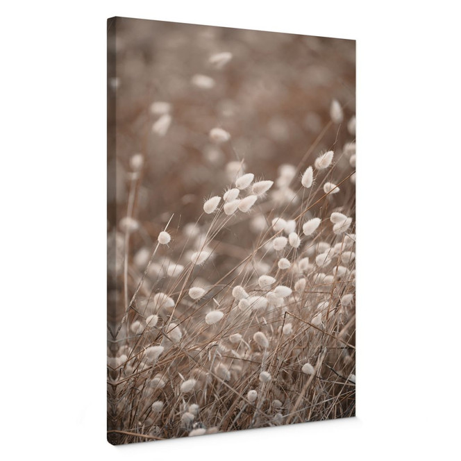 Leinwandbild Zarte Gräser im Herbstlicht - Collins