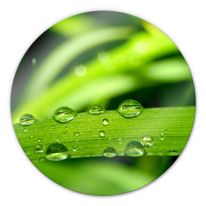 Glasbild Natur 5 - rund