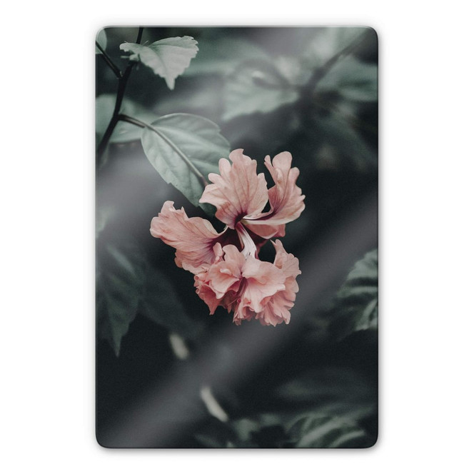 Glasbild Tropische Blüte