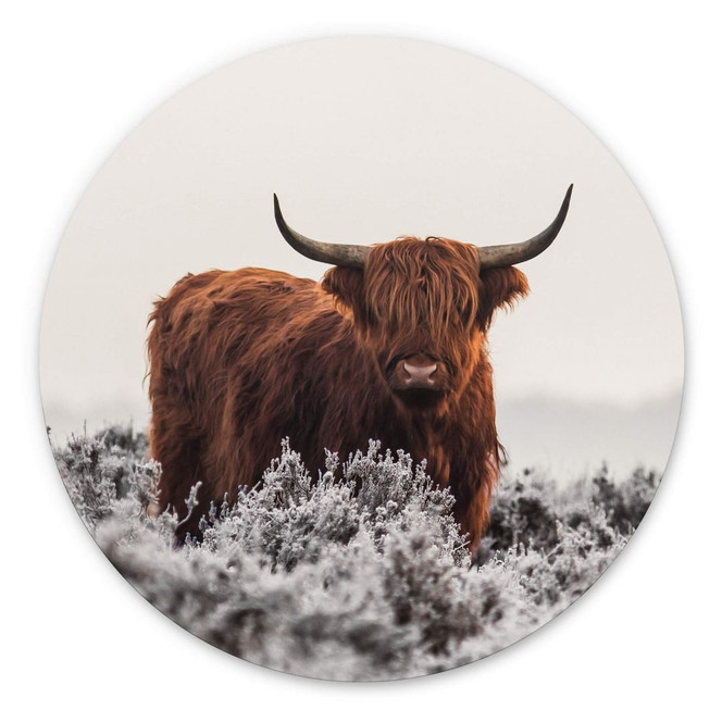 Wandbild van den Helm - Highlander - Alu-Dibond Rund