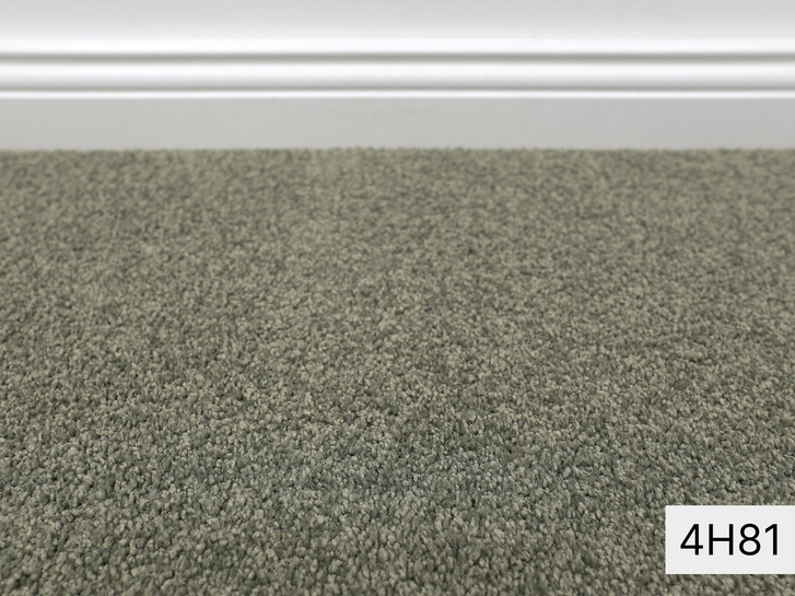 Violetta Vorwerk Teppichboden Meterware in 4H81 - TS521459