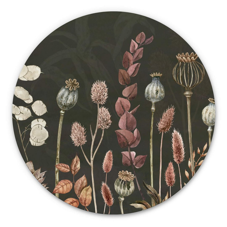 Alu-Dibond Sir Edward - Trockenblumen Oliv - Rund - WA352222
