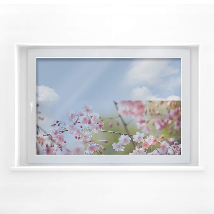 Fensterbild Cherry Blossoms - WA117114