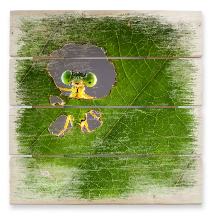 Holzbild Wilianto - Hello little Friend - 40 x 41.5 cm - WA132747