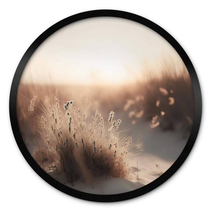 Poster Treechild - Sonnenuntergang über den Dünen - Rund - WA407633