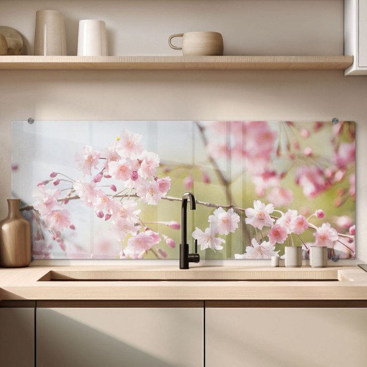 Spritzschutz Cherry Blossoms - Panorama - WA178019