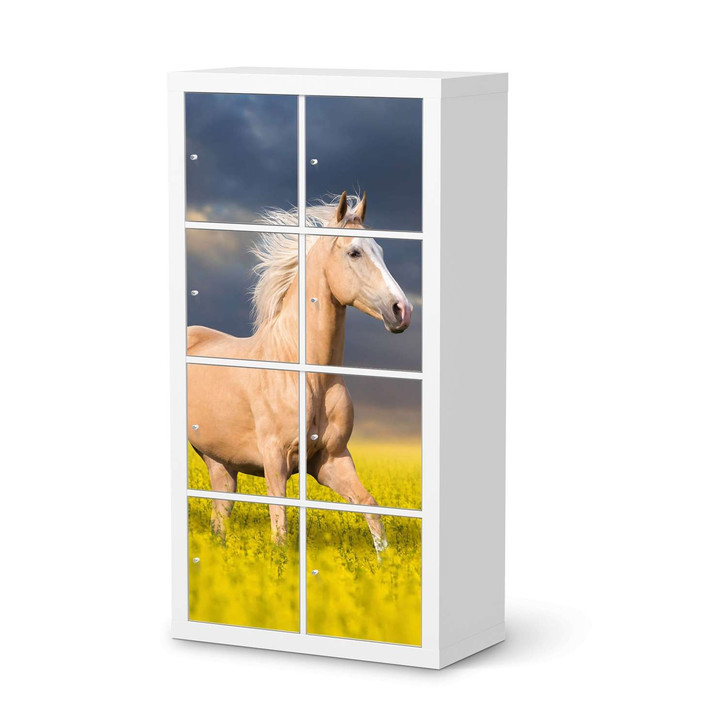 Folie IKEA Kallax Regal 8 Türen - Wildpferd - CR105535