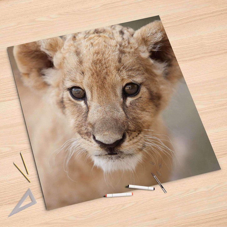 Folienbogen (90x90cm) - Simba - CR107664
