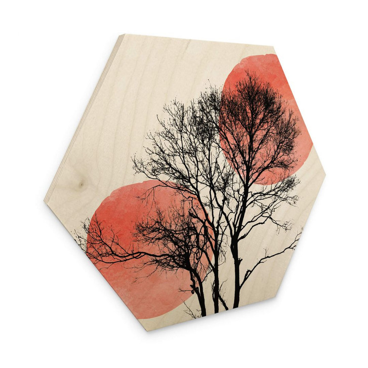 Hexagon - Holz Birke-Furnier - Kubistika - Sonne und Mond hinter dem Baum - WA253292