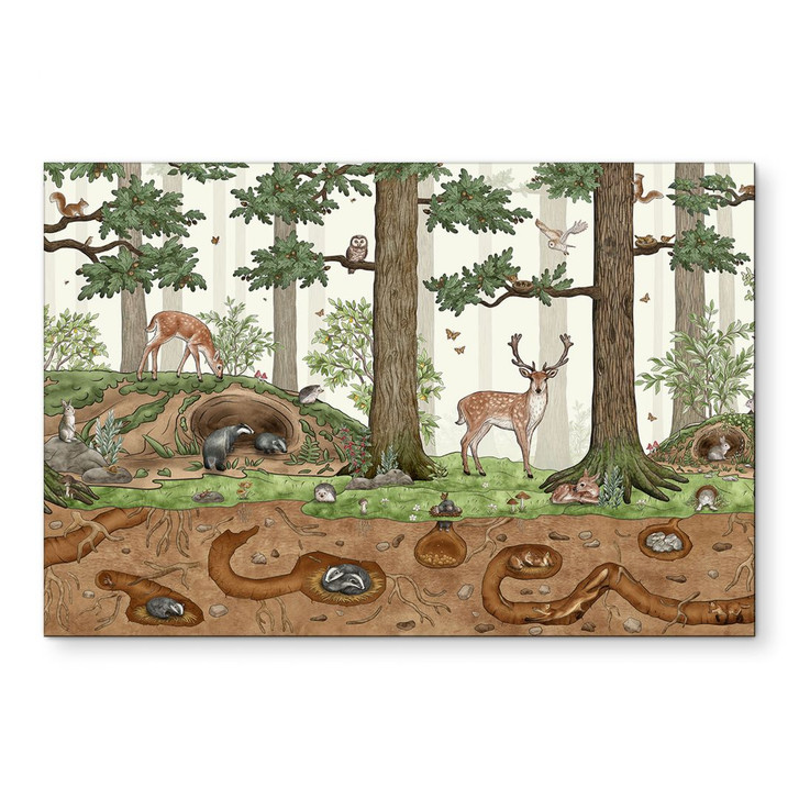 Wandbild Wimmelbild Waldtiere - Kikki Belle - Alu-Dibond - WA492116