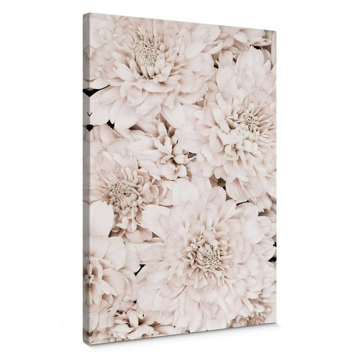 Leinwandbild 1X Studio - Aster Apricot - WA321393