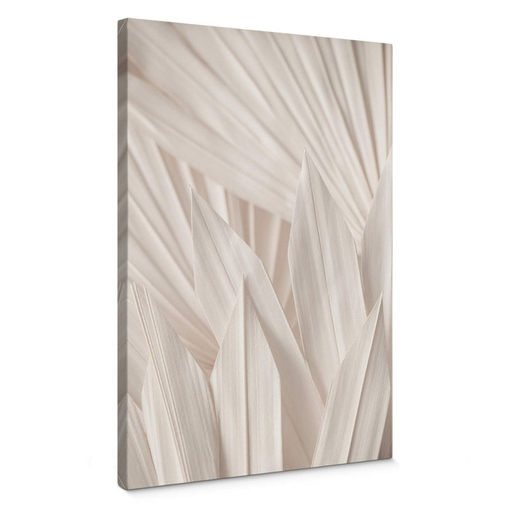 Leinwandbild 1X Studio - Helle Palmenblätter - WA357329