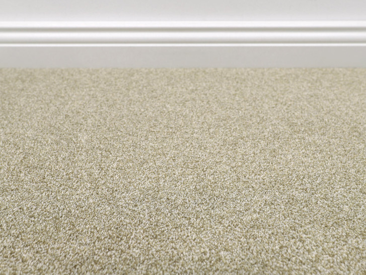 Evolve Teppichboden Meterware in 39 - TS554205