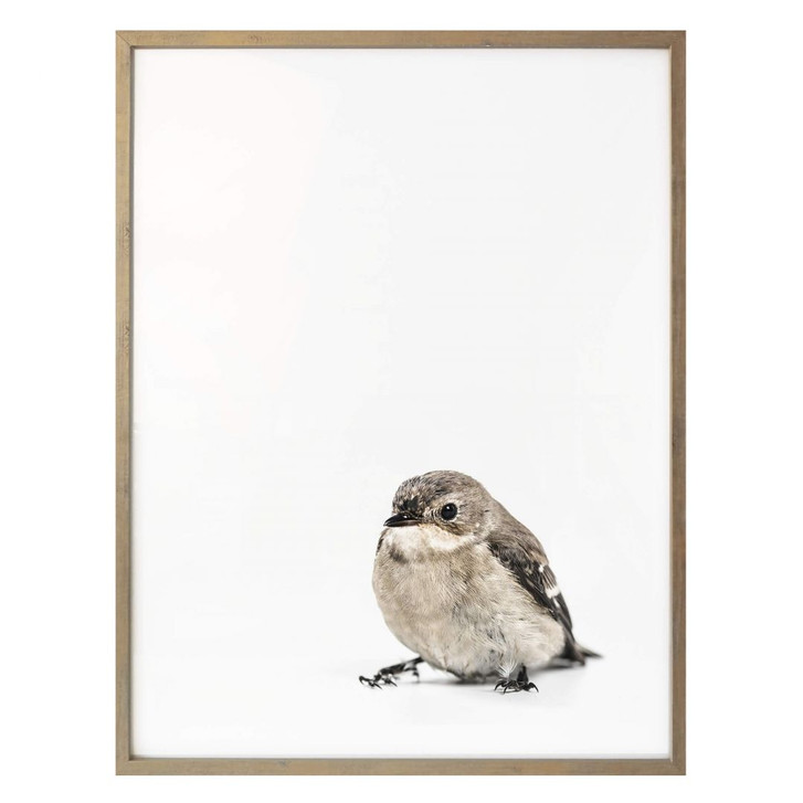 Poster Kleiner Spatz - WA162218