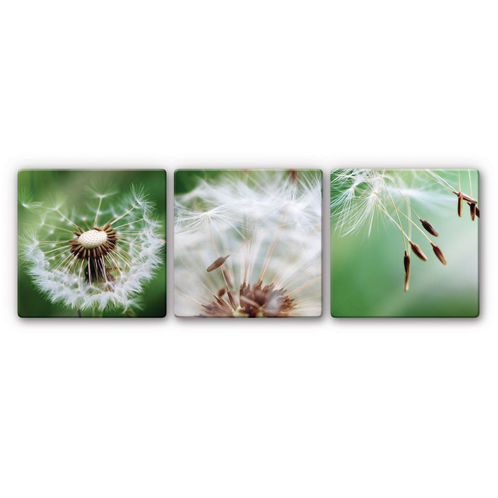 Glasbild Fliegerschirmchen auf Reise (3-teilig) - WA122998