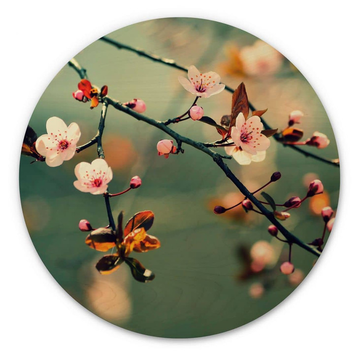 Holzbild Frühlingserwachen - Rund - WA459613