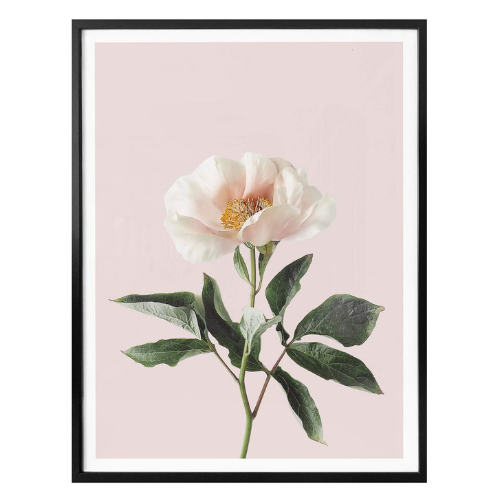 Poster Sisi & Seb - Zart - WA311829