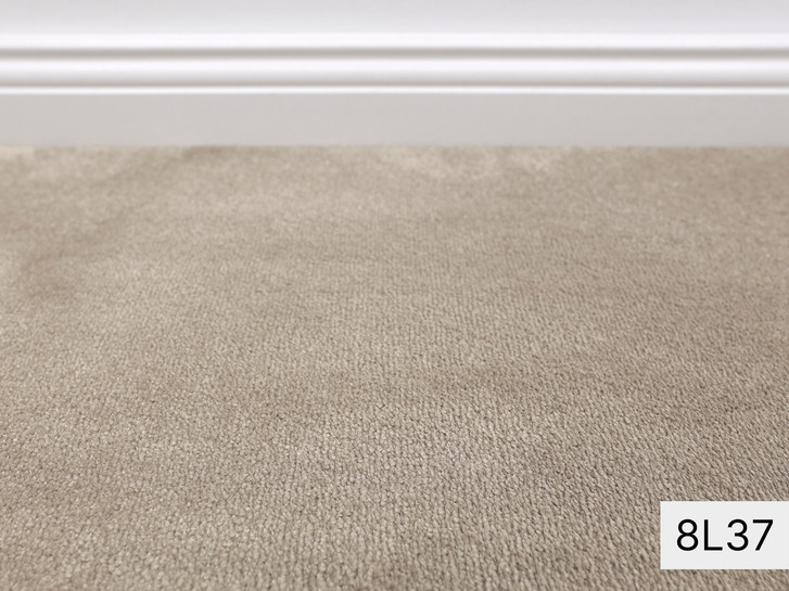 Safira Vorwerk Teppichboden Meterware in 8L37 - TS521051