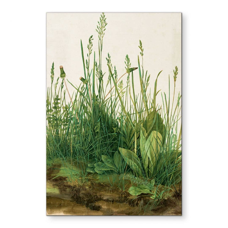 Wandbild Dürer - Das grosse Rasenstück - Alu-Dibond - WA458677