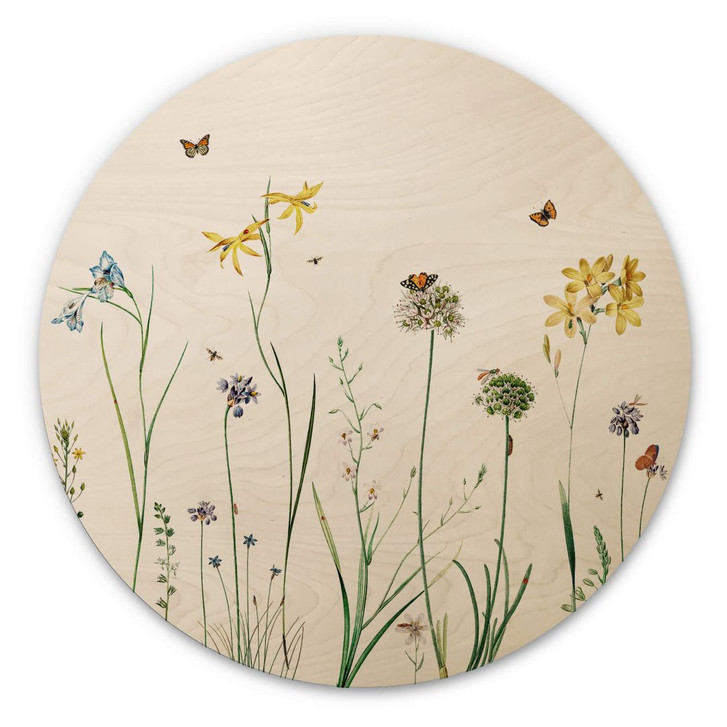 Holzbild Sir Edward - Schmetterlingswiese - Rund - WA355541