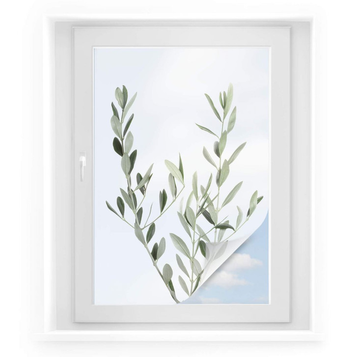 Sichtschutzfolie Sisi & Seb - Olivenzweig - WA305197
