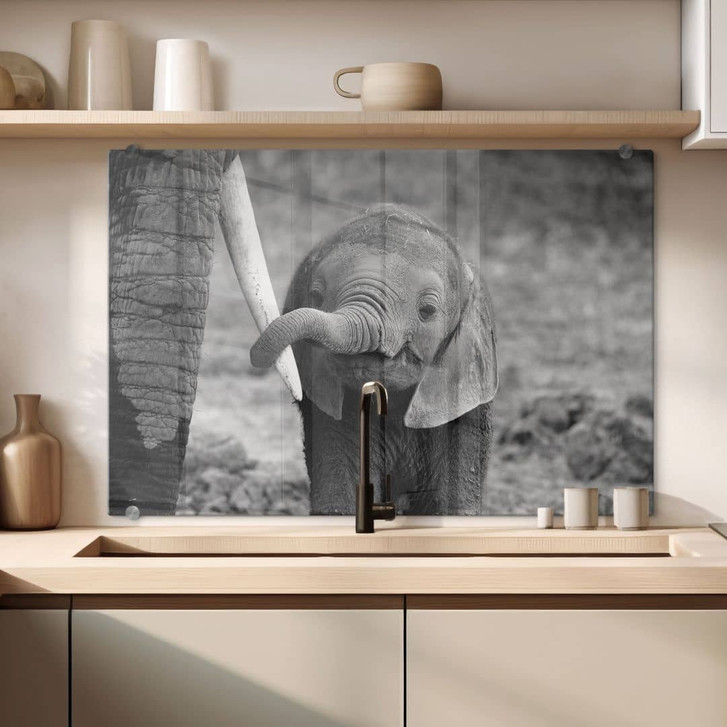 Spritzschutz Alicke - Close to Mum - WA240930