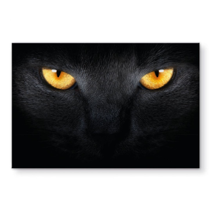 Acrylglasbild Katzenaugen - WA294466