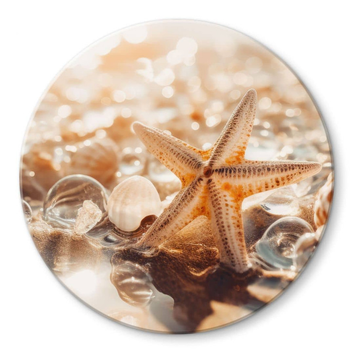 Glasbild Muscheln am sonnigen Strand - Treechild - Rund - WA471732