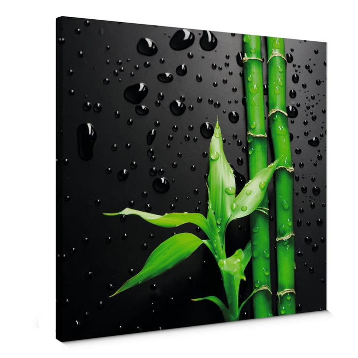 Leinwandbild Bamboo Over Black - quadratisch - WA357897