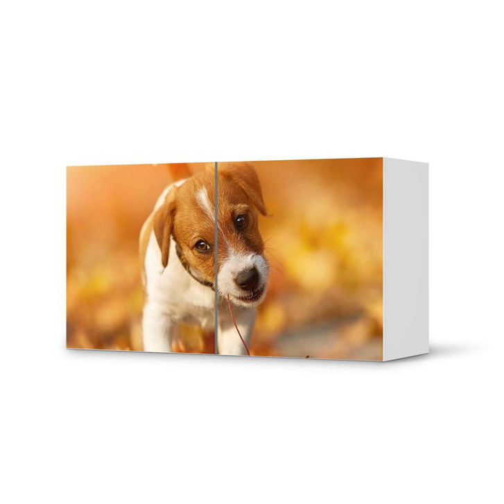 Folie IKEA Besta Regal 2 Türen (quer) - Jack the Puppy - CR105368