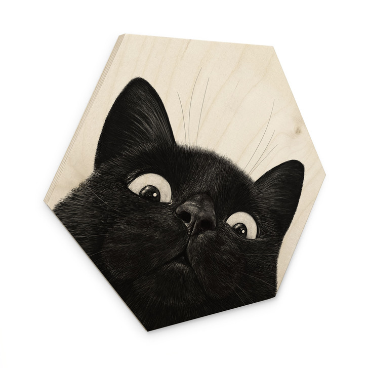Hexagon Holzbild Lustige schwarze Katze - Korenkova - WA515252