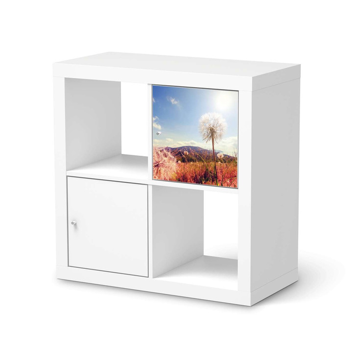 Klebefolie IKEA Expedit Regal Tür einzeln - Dandelion - CR111209