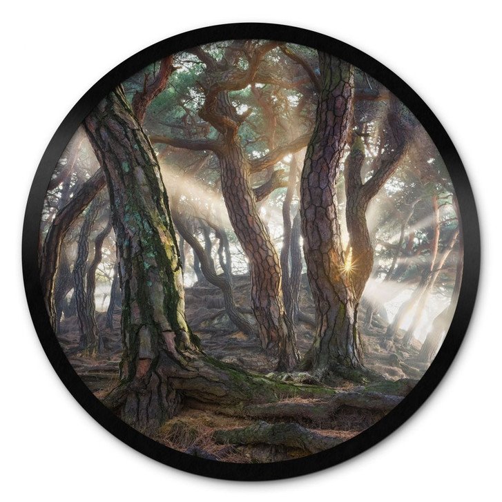 Poster Heiliger Kiefernwald - Ryu - Rund - WA433088